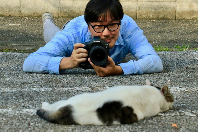 猫と女性のポートレイト撮影ならお任せください。